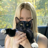 User picture 4