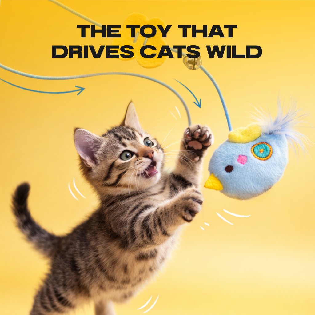 BUNGEE™  THE AUTOMATIC YO-YO TOY THAT DRIVES CATS WILD