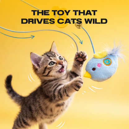 BUNGEE™  THE AUTOMATIC YO-YO TOY THAT DRIVES CATS WILD