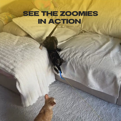 BUNGEE™ PREMIUM ELASTIC CAT TOY