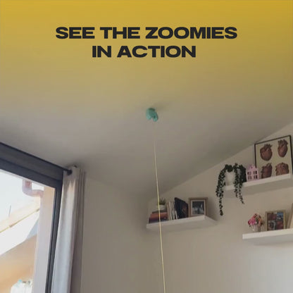 BUNGEE™  THE AUTOMATIC YO-YO TOY THAT DRIVES CATS WILD